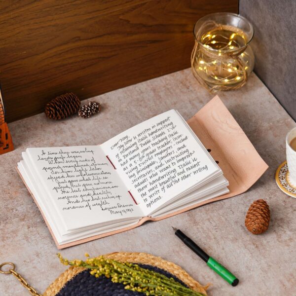 Diary - Image 4